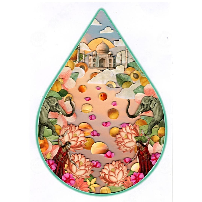 Apricot Oil, 100% Organic-gallery-36891894382769