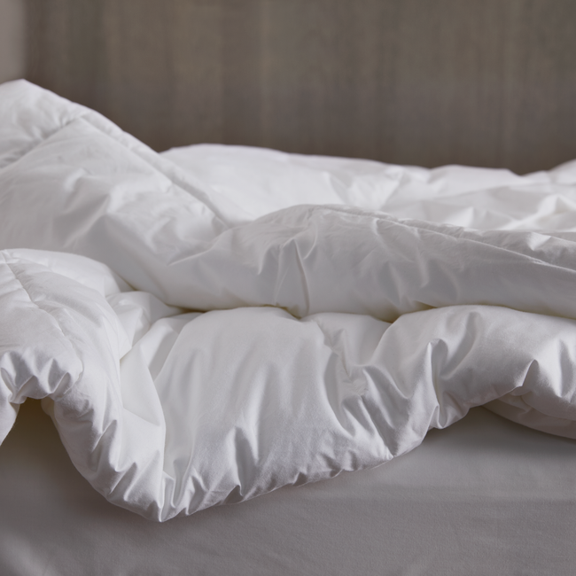 Feather Down Comforter-gallery-21229680984218