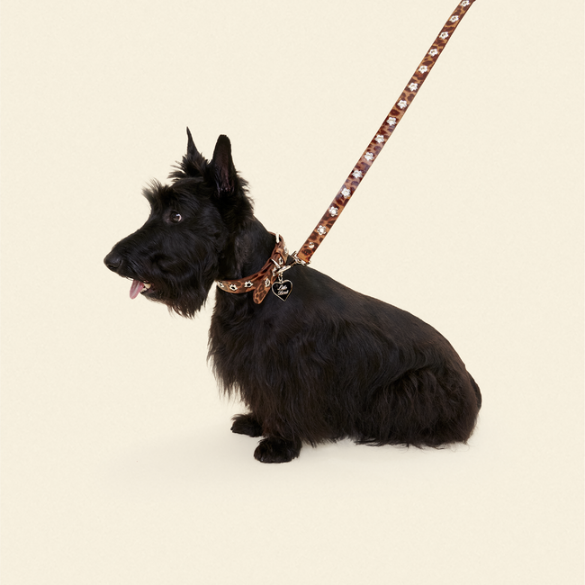 Cougar - Flower Power Leash-gallery-61396628930846