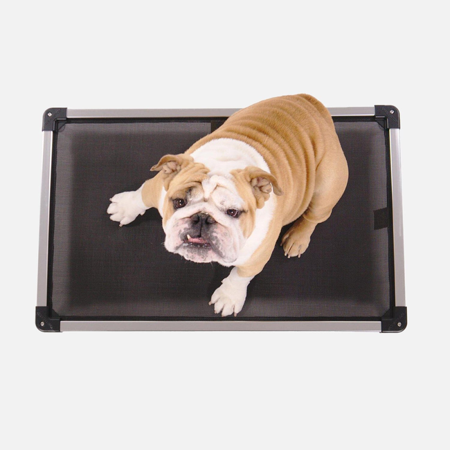Chew Proof Armored™ Mesh Elevated Dog Bed-gallery-34810351157387