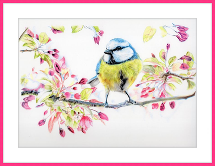 Blue Tit in Blossom