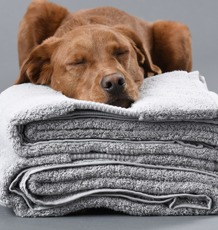 Delilah Home 100% Organic Cotton Bath Towels Certified to the GOTS & Vegan.org Standard