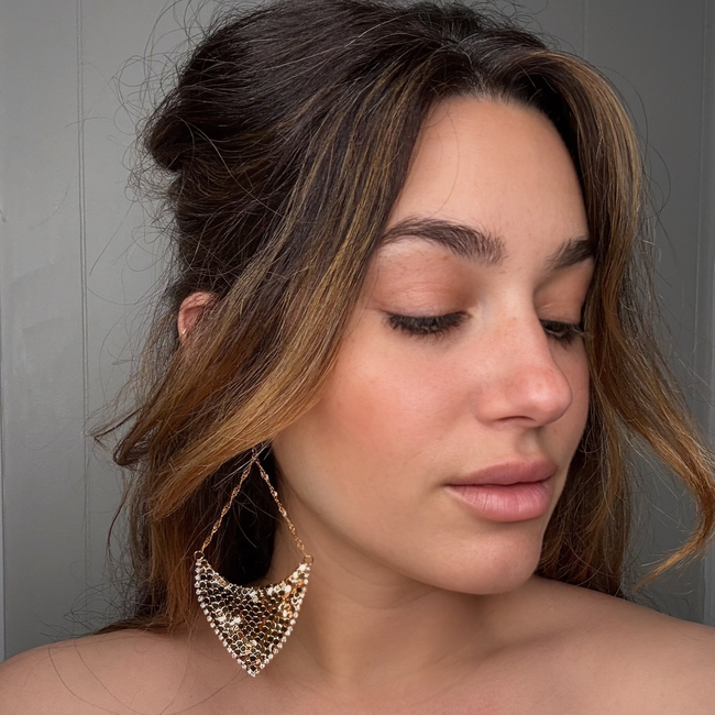 Mesh Shield Earrings-gallery-34161204330571