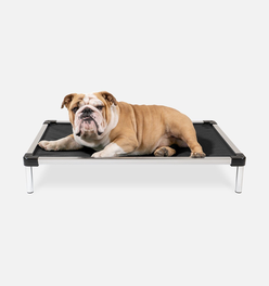 Chew Proof Armored™ Ripstop Elevated Dog Bed