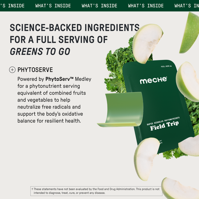 Field Trip-gallery-52710949880112