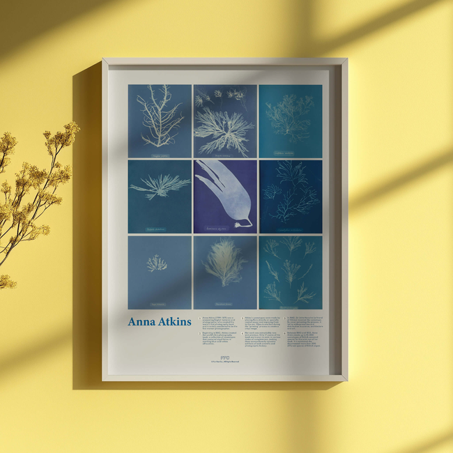 Anna Atkins Cyanotype Print-gallery-44322496282870