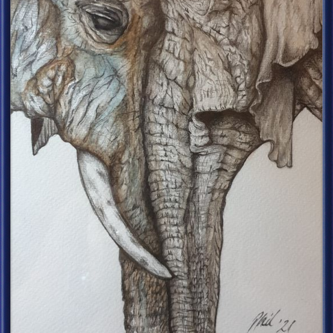 Mother and Child Elephants-gallery-49450441081123