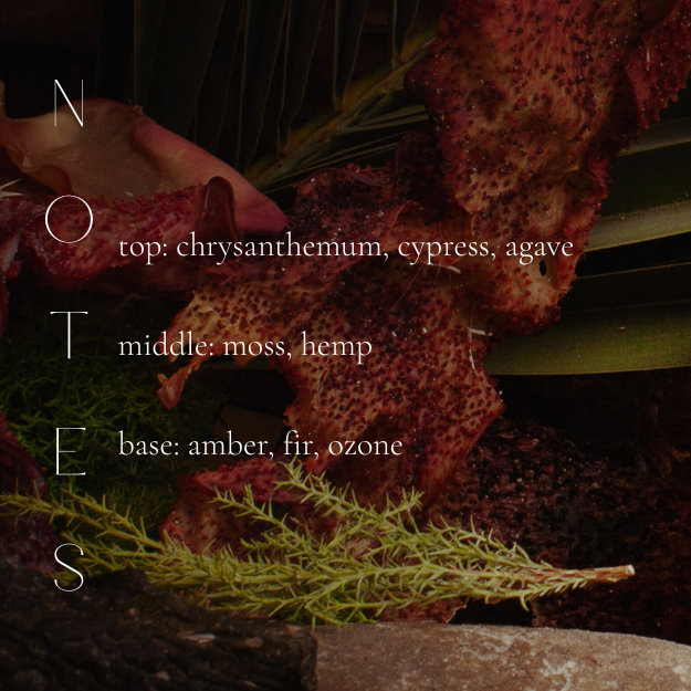 SEA PALM & CYPRESS CANDLE-gallery-40819698630818