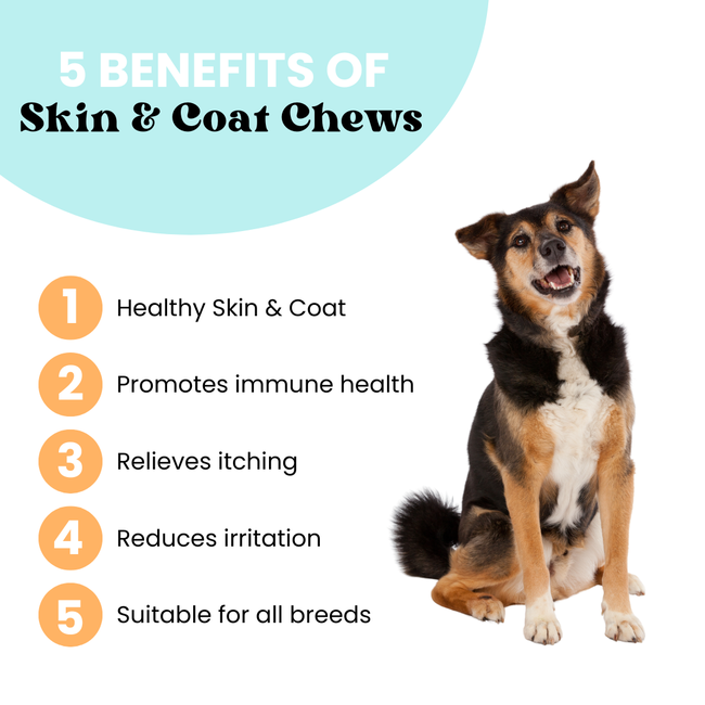 Skin & Coat Chews | Luster + Nourish-gallery-35118017249489