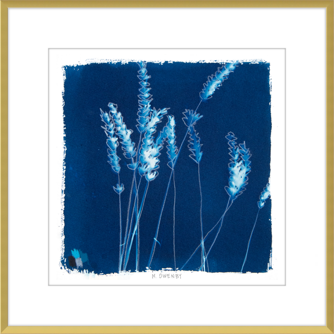 Lavender-gallery-48954322125091