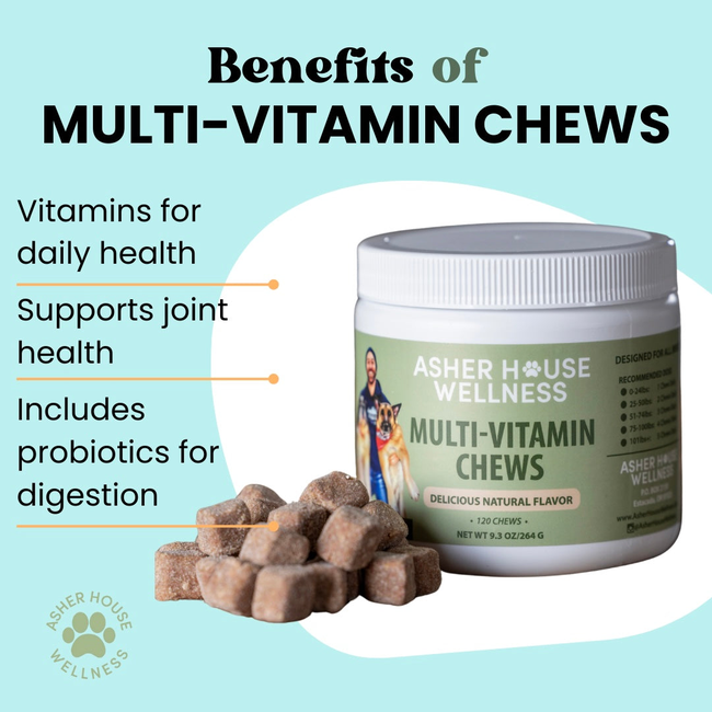 Multi-Vitamin Chews | Energy + Defense-gallery-35118019707089