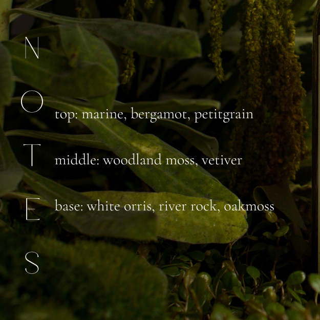 IRISH MOSS & PETRICHOR CANDLE-gallery-40819698204834