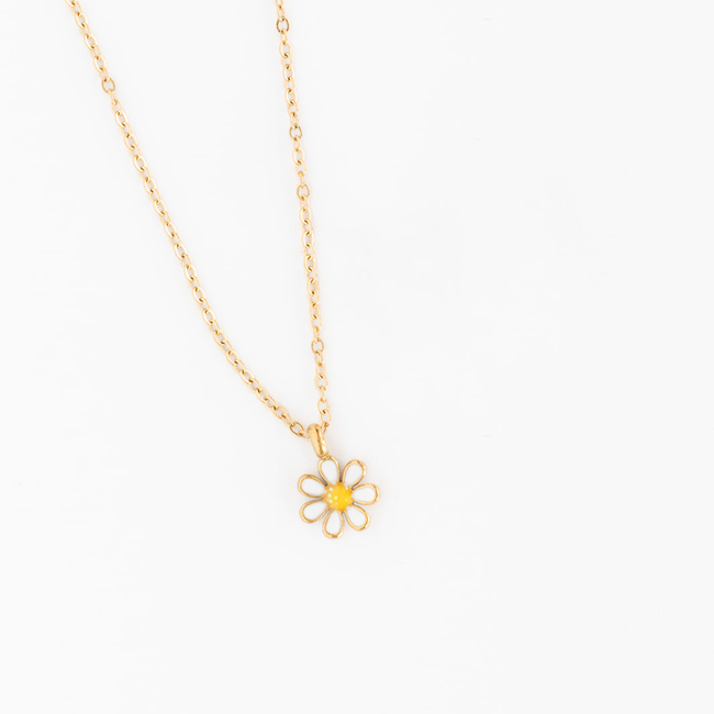Daisy Set-gallery-37585137828014