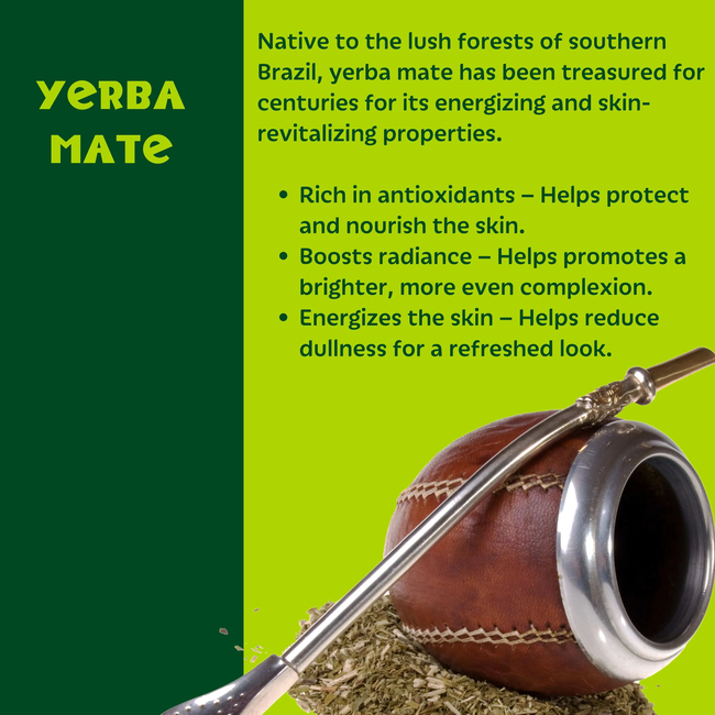 Setú® Daily Cleanser for Men with Moringa & Yerba Mate | Gentle Face Wash-gallery-62976785973535