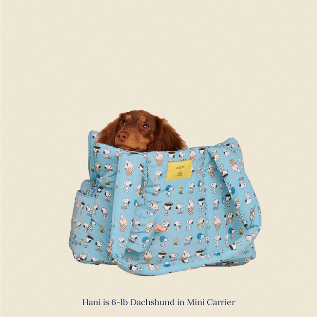 Snoopy Chillin Carrier - PEANUTS-gallery-61733089509662