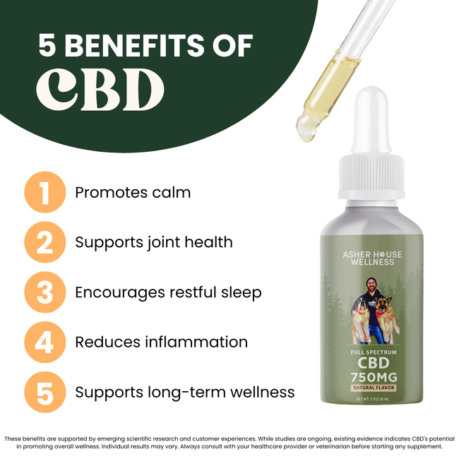 CBD Soft Chews | Calm + Comfort - for Pets-gallery-35118022885585