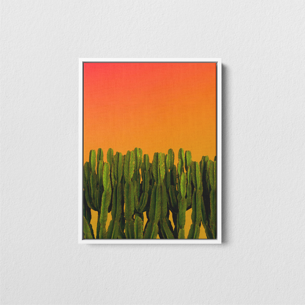 Mimeo Photos Expands  Wall Decor Collection