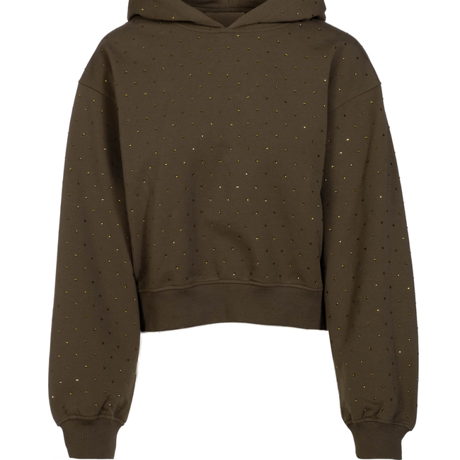 Renae Crystal Hoodie-gallery-44803325788410