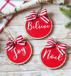 Farmhouse Christmas Ornaments Set of 3 | Red White Wood Slices - Believe Noel Joy