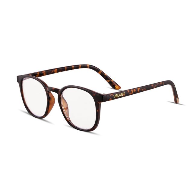 CORA - Tortoise-gallery-48692998078757