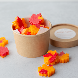 Fall Wax Melts | Autumn Leaves 3 oz.