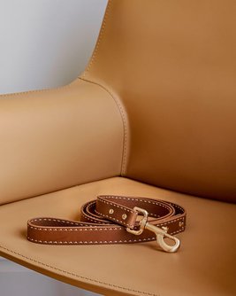 Take the Lead Tan Leather Dog Leash