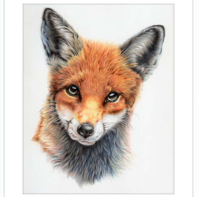 Michael the Red Fox-gallery-49475882025251