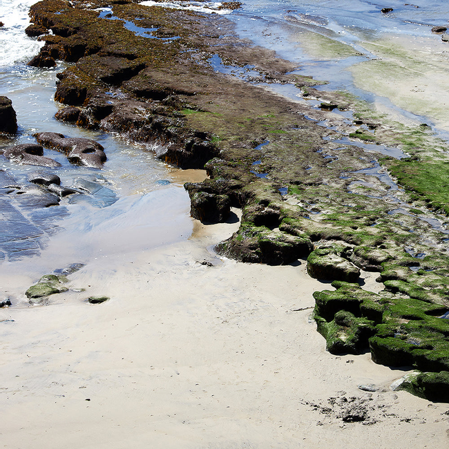 Babs California Beach Inspired Silk Scarf-gallery-45486352433448