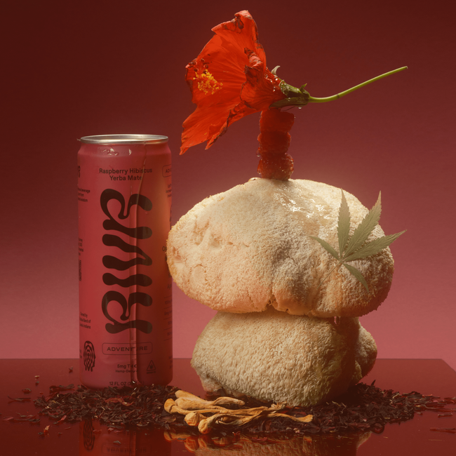 ADVENTURE Raspberry Hibiscus Yerba Mate-gallery-48497635229974