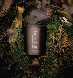 SEA PALM & CYPRESS CANDLE