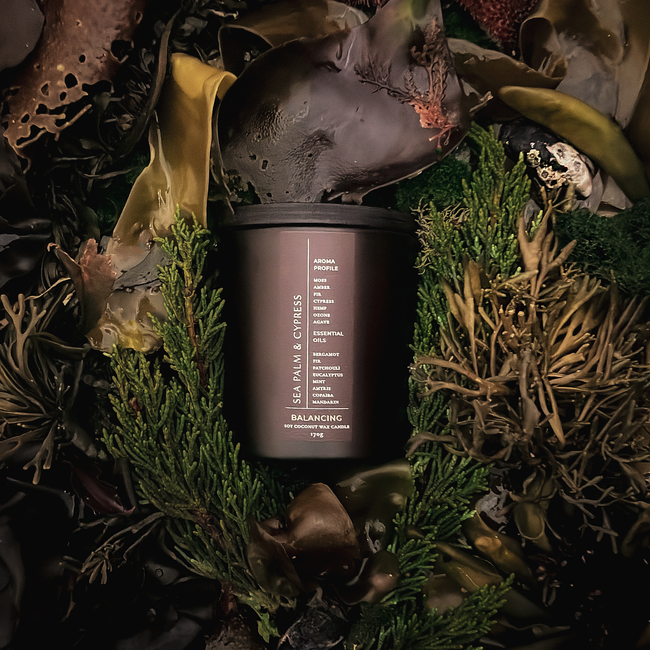 SEA PALM & CYPRESS CANDLE-gallery-43214680162466