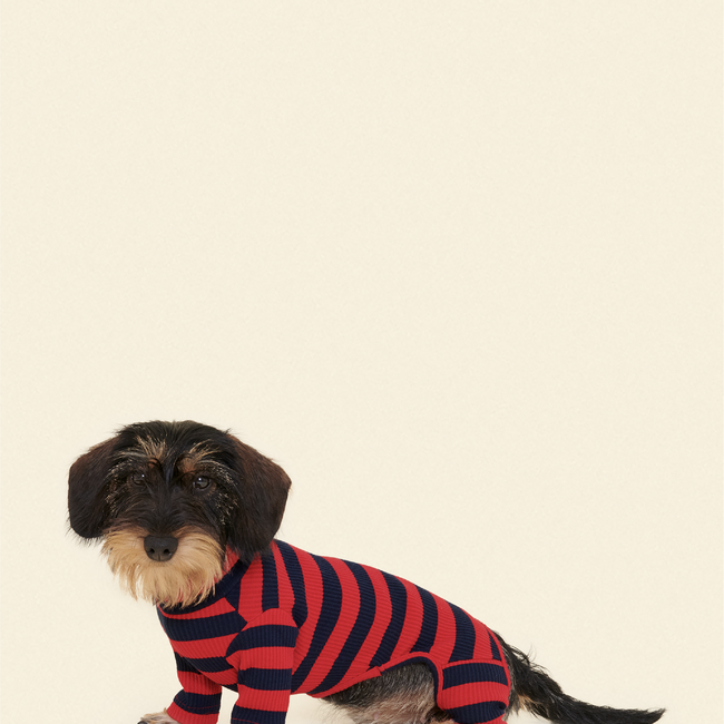 Ivy League Onesie-gallery-61904989454622