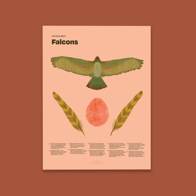 Falcon Fun Facts Print-gallery-39008512114934