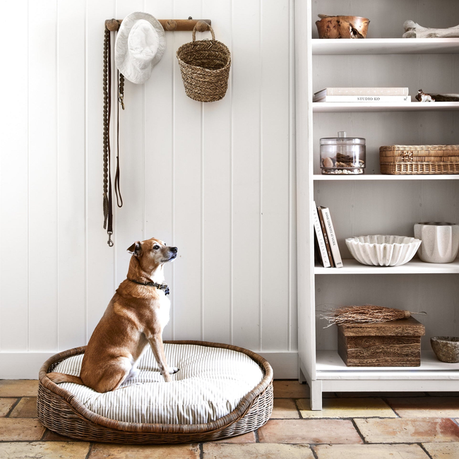 Boone Woven Dog Bed -gallery-53881054396786