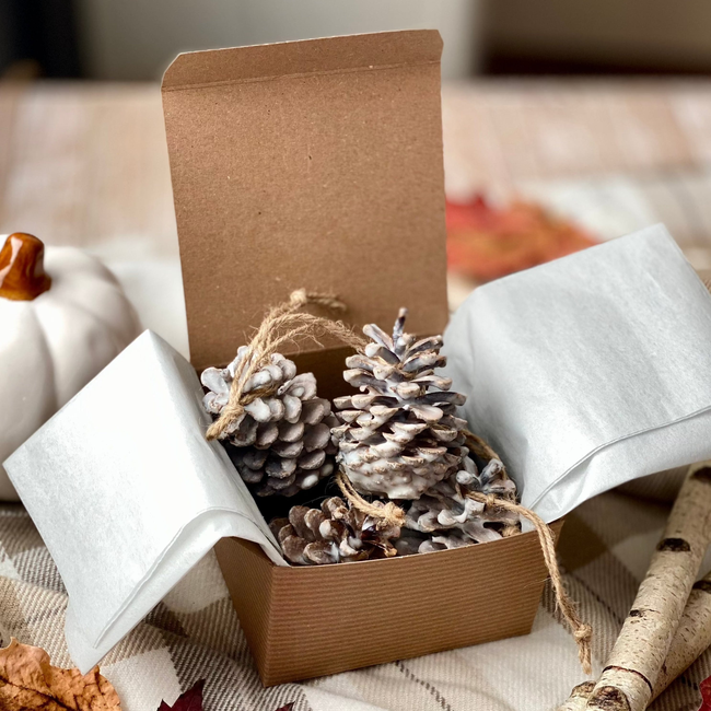 Fire Starters Fireside | Set of 6 Pine Cones | Cypress + Cedar + Fir + Amber-gallery-30702345420870