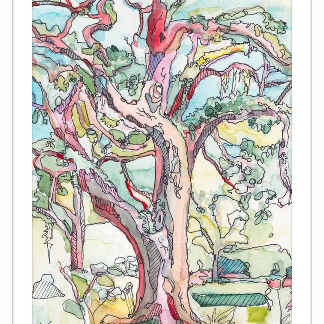Sunny Oak in Forsyth Park-gallery-48984872059171