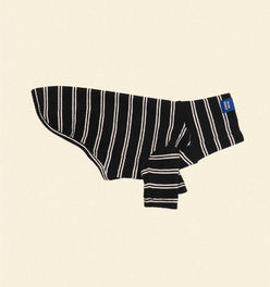 Midnight in Paris Shirt