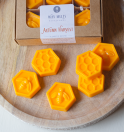 Autumn Harvest Wax Melts - Honeycomb Shaped Set of 6 | Apple, Orange, Cinnamon, Bourbon, Coconut, Bu