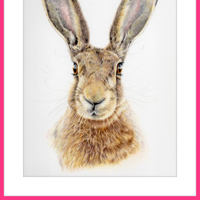 I'm All Ears-gallery-49475773759779