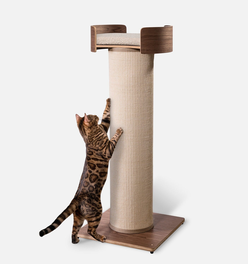 Giant Scratching Tower