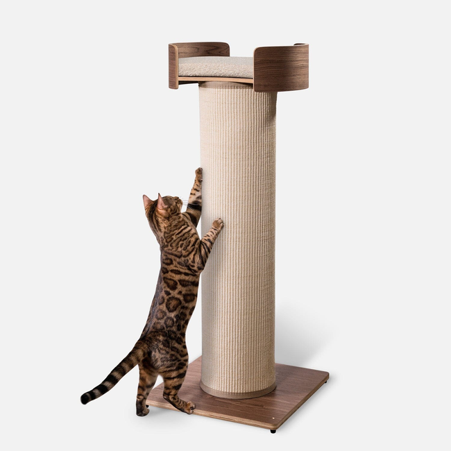 Giant Scratching Tower-gallery-37848549556247