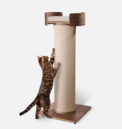 Giant Scratching Tower