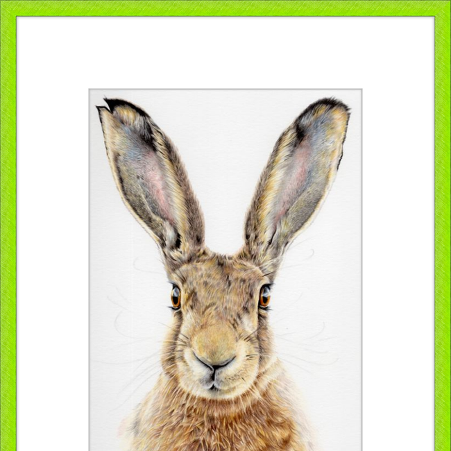 I'm All Ears-gallery-49475772154147