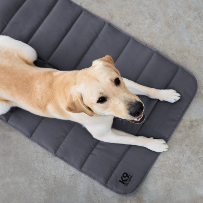 Tough Ripstop™ Dog Travel Mat-gallery-37442491383947