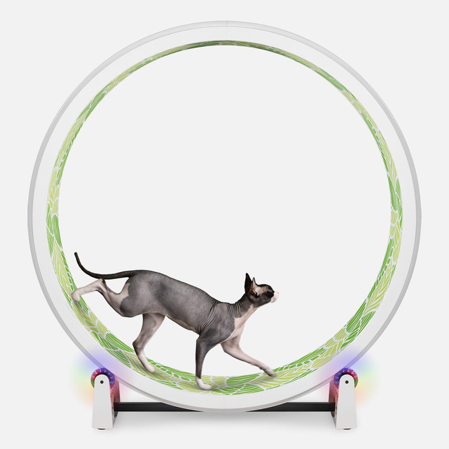 Cat Exercise Wheel-gallery-32508072263703