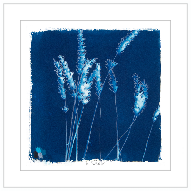 Lavender-gallery-48954444710179