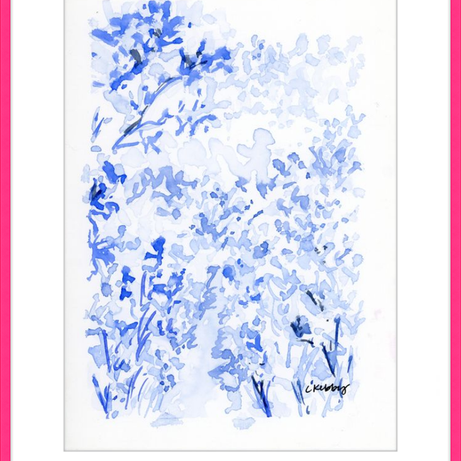 Flower Field-gallery-47153661280547