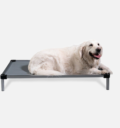 Chew Proof Armored™ Vinyl Elevated Dog Bed