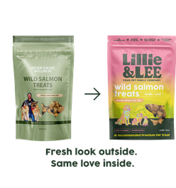 Wild Salmon Treats | Brain + Coat