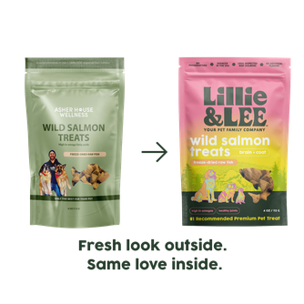 Wild Salmon Treats | Brain + Coat